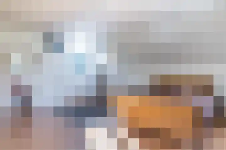 Wijkersloot 23 Wijk bij Duurstede thumbnail 50