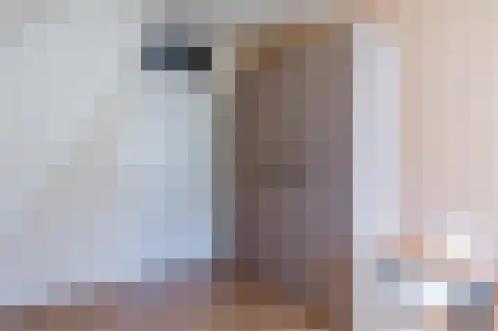 Wijkersloot 23 Wijk bij Duurstede thumbnail 54