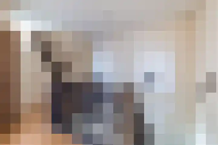 Wijkersloot 23 Wijk bij Duurstede thumbnail 58