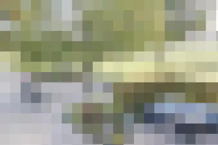 Wijkersloot 23 Wijk bij Duurstede thumbnail 68