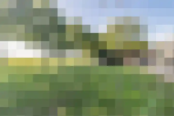 Wijkersloot 23 Wijk bij Duurstede thumbnail 69