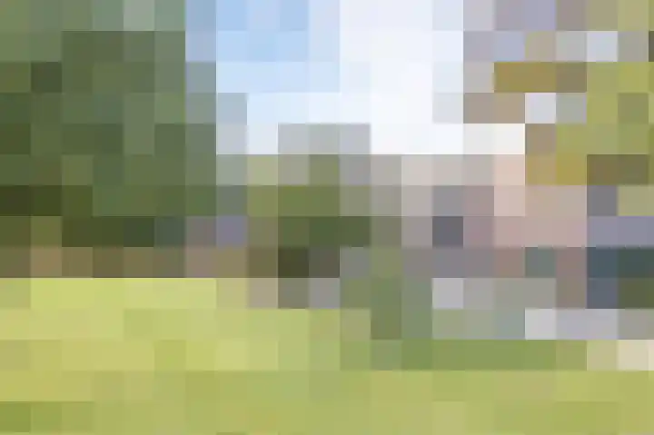 Wijkersloot 23 Wijk bij Duurstede thumbnail 70