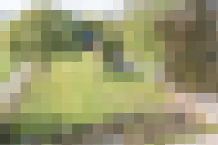 Wijkersloot 23 Wijk bij Duurstede thumbnail 71