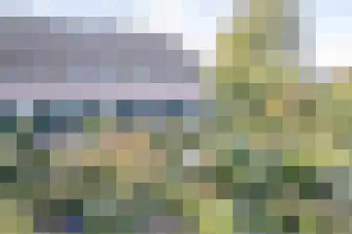 Wijkersloot 23 Wijk bij Duurstede thumbnail 74