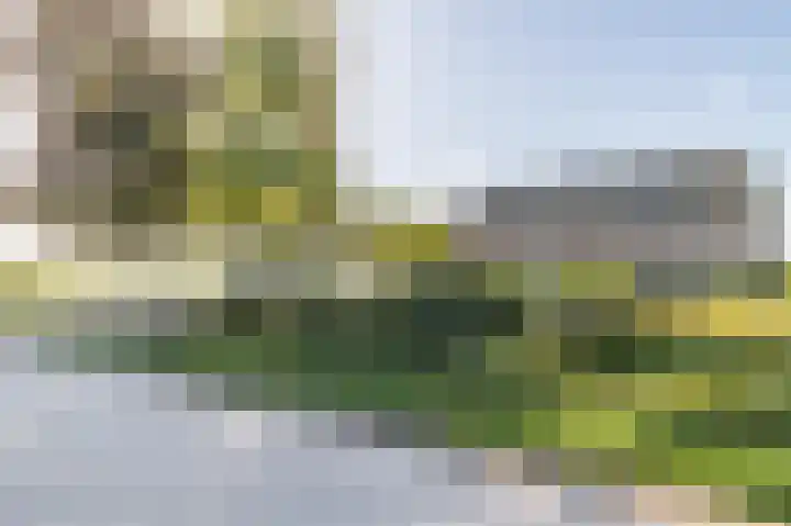 Wijkersloot 23 Wijk bij Duurstede thumbnail 75