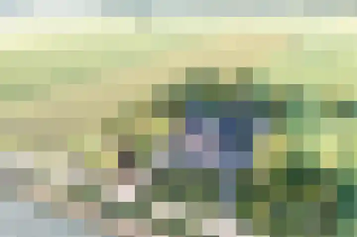 Wijkersloot 23 Wijk bij Duurstede thumbnail 76