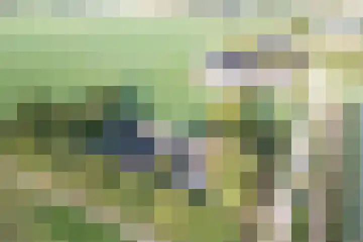 Wijkersloot 23 Wijk bij Duurstede thumbnail 77