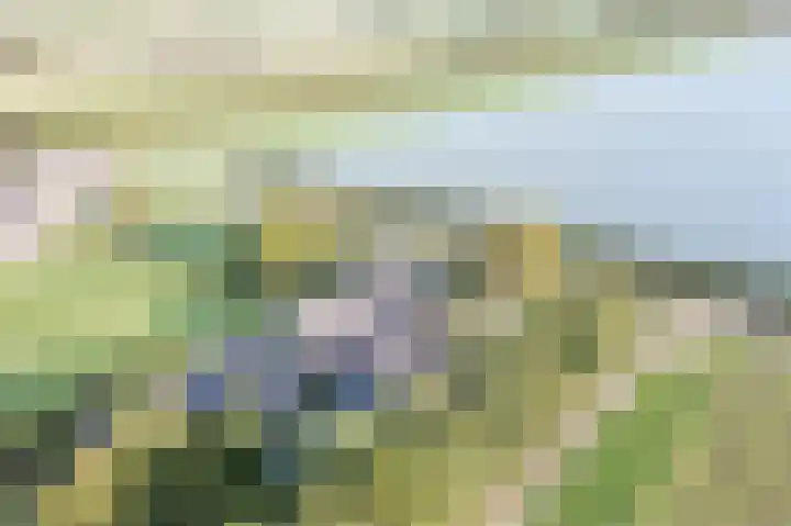 Wijkersloot 23 Wijk bij Duurstede thumbnail 79
