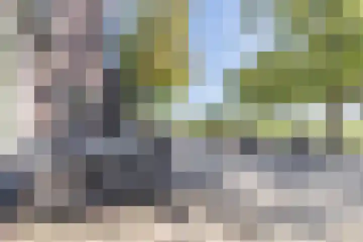 Wijkersloot 23 Wijk bij Duurstede thumbnail 9