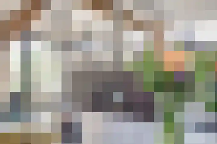 Wijkersloot 27 a Wijk bij Duurstede thumbnail 10