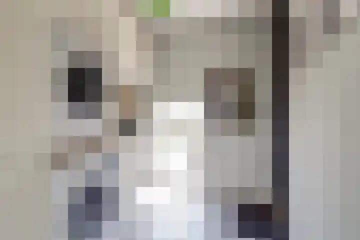 Wijkersloot 27 a Wijk bij Duurstede thumbnail 22