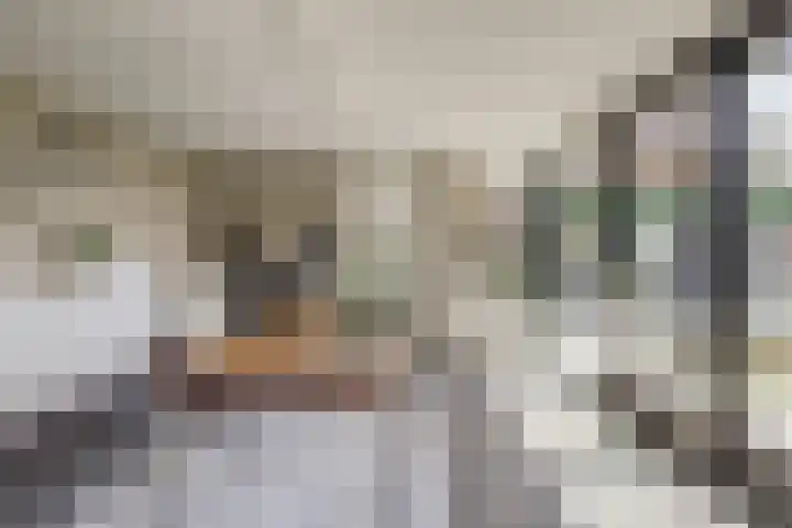 Wijkersloot 27 a Wijk bij Duurstede thumbnail 26