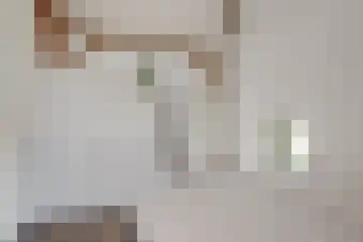 Wijkersloot 27 a Wijk bij Duurstede thumbnail 31
