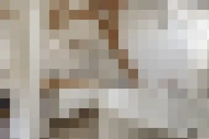 Wijkersloot 27 a Wijk bij Duurstede thumbnail 34