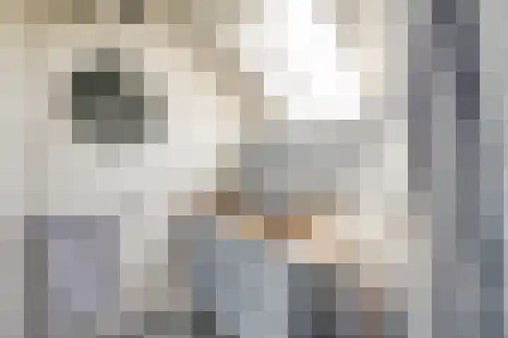 Wijkersloot 27 a Wijk bij Duurstede thumbnail 42
