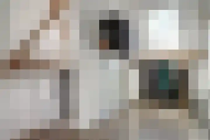 Wijkersloot 27 a Wijk bij Duurstede thumbnail 46