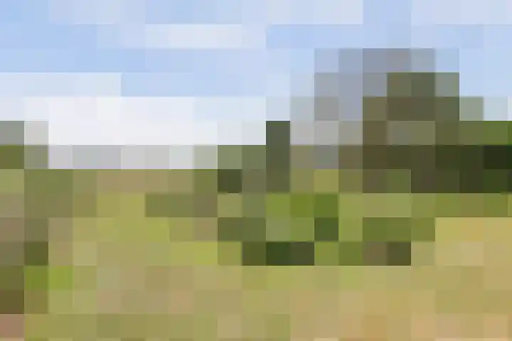 Wijkersloot 27 a Wijk bij Duurstede thumbnail 5