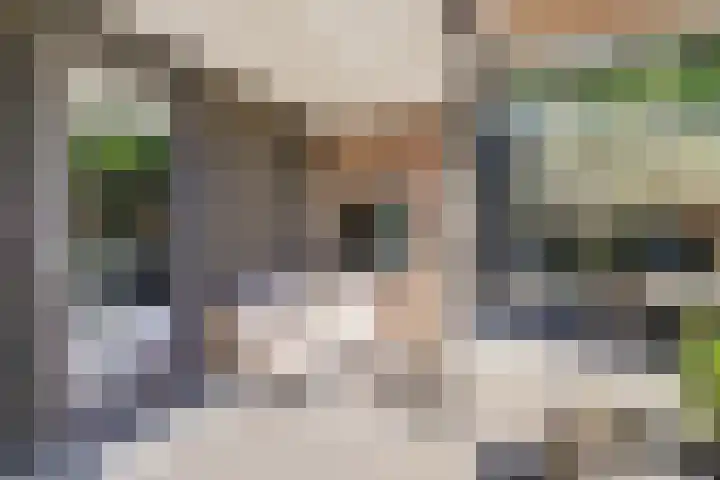 Wijkersloot 27 a Wijk bij Duurstede thumbnail 50