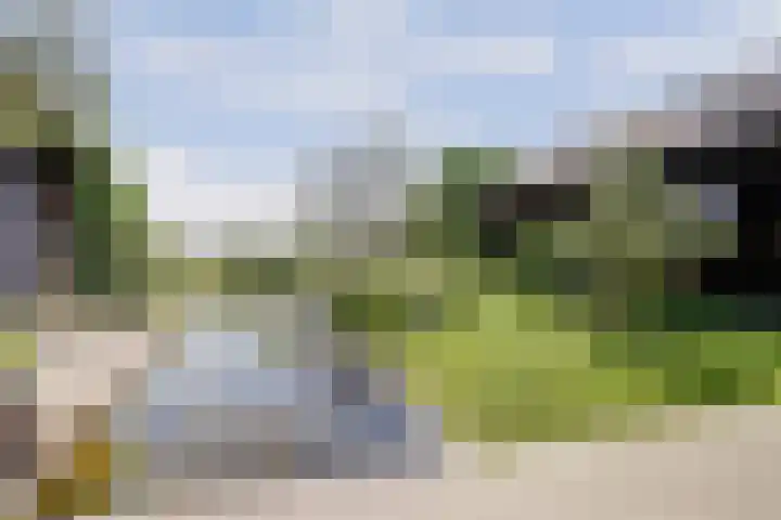 Wijkersloot 27 a Wijk bij Duurstede thumbnail 52