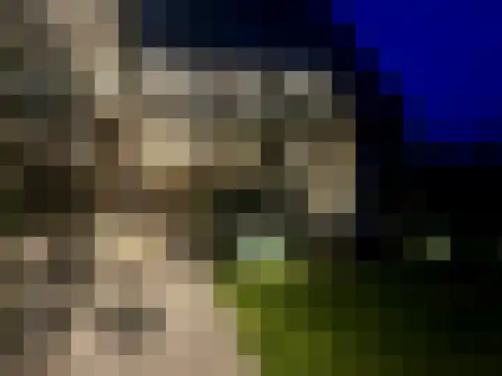 Wijkersloot 27 a Wijk bij Duurstede thumbnail 55