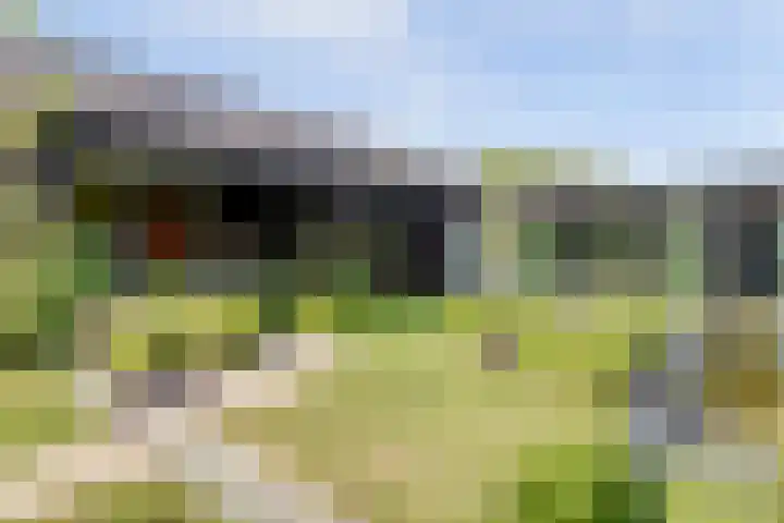 Wijkersloot 27 a Wijk bij Duurstede thumbnail 57