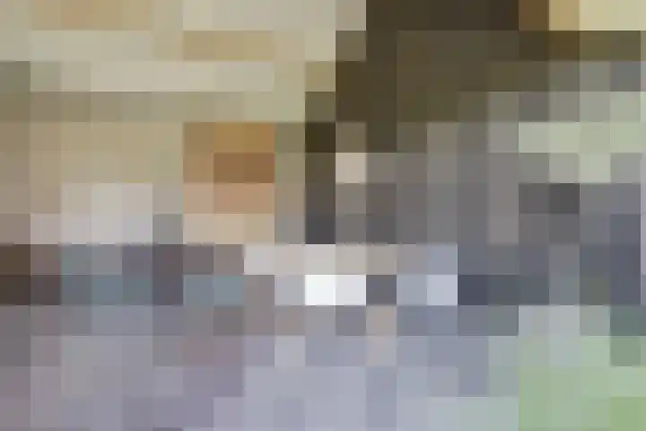 Wijkersloot 27 a Wijk bij Duurstede thumbnail 59