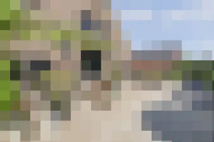 Wijkersloot 27 a Wijk bij Duurstede thumbnail 60