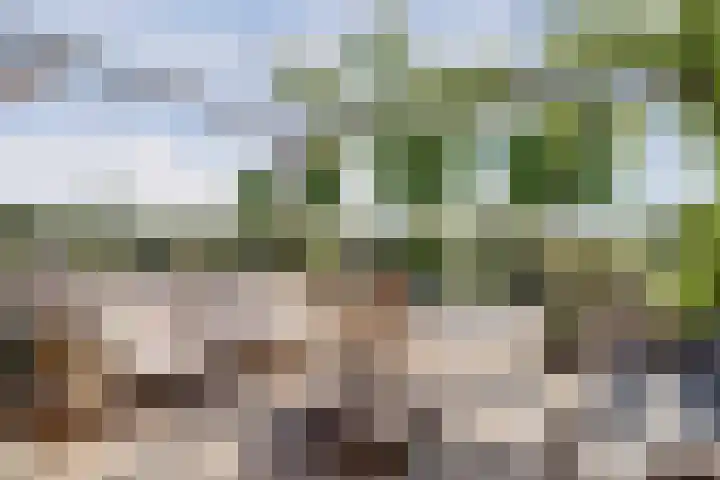 Wijkersloot 27 a Wijk bij Duurstede thumbnail 61