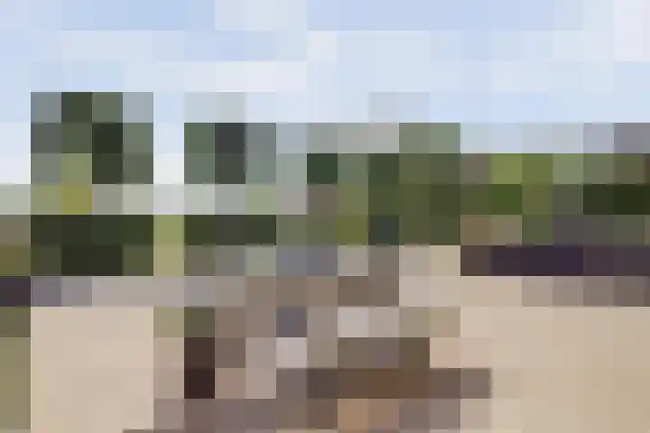 Wijkersloot 27 a Wijk bij Duurstede thumbnail 62