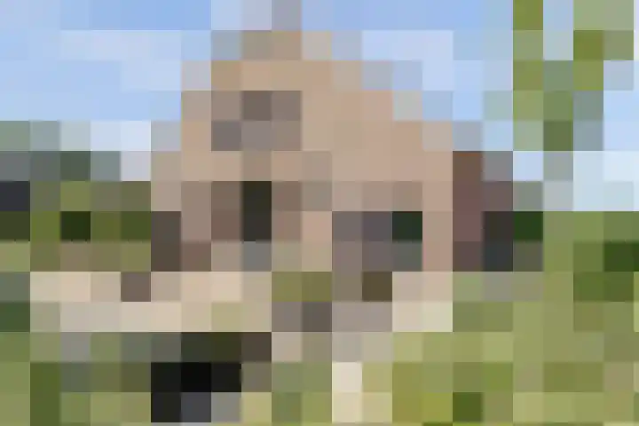 Wijkersloot 27 a Wijk bij Duurstede thumbnail 63