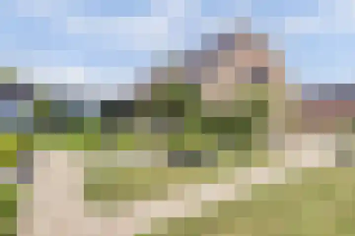Wijkersloot 27 a Wijk bij Duurstede thumbnail 65