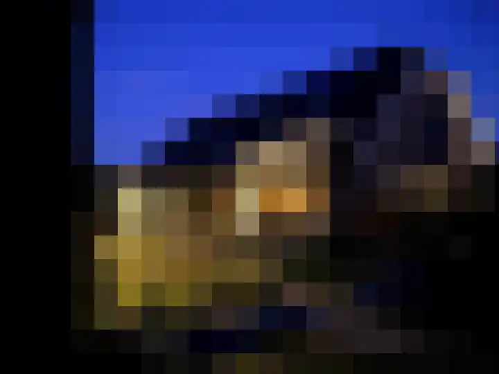 Wijkersloot 27 a Wijk bij Duurstede thumbnail 66