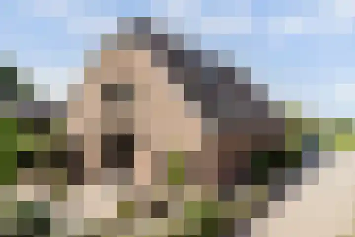 Wijkersloot 27 a Wijk bij Duurstede thumbnail 68