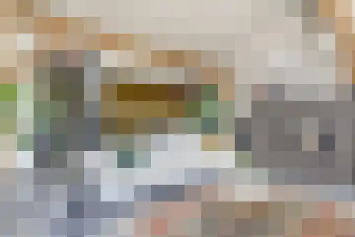Wijkersloot 27 a Wijk bij Duurstede thumbnail 7