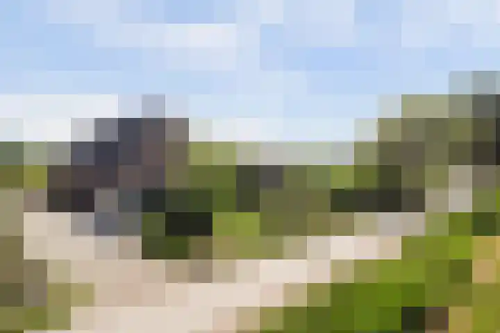 Wijkersloot 27 a Wijk bij Duurstede thumbnail 70