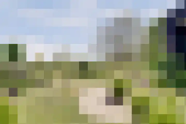 Wijkersloot 27 a Wijk bij Duurstede thumbnail 71