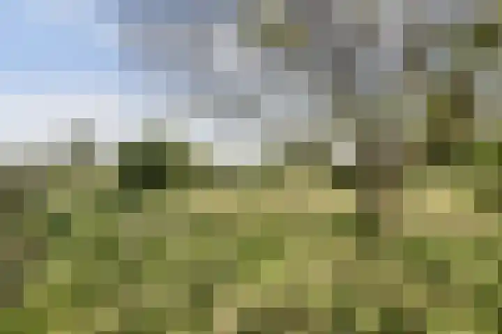 Wijkersloot 27 a Wijk bij Duurstede thumbnail 72