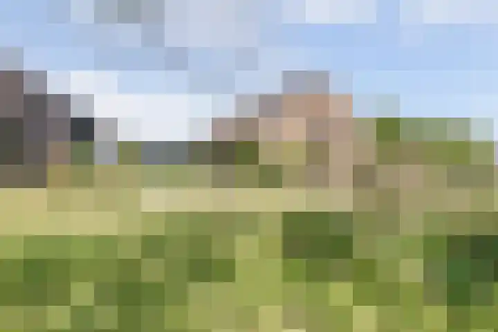 Wijkersloot 27 a Wijk bij Duurstede thumbnail 73