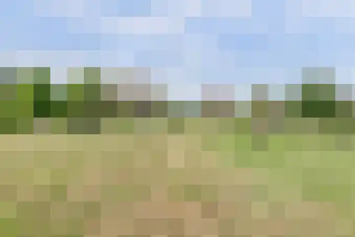 Wijkersloot 27 a Wijk bij Duurstede thumbnail 74