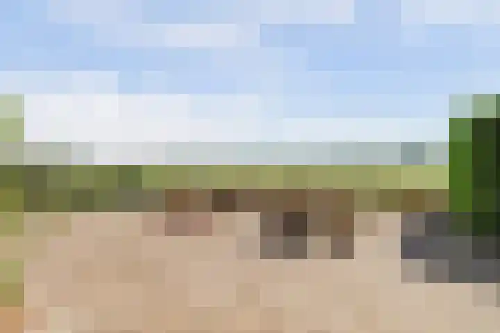 Wijkersloot 27 a Wijk bij Duurstede thumbnail 75