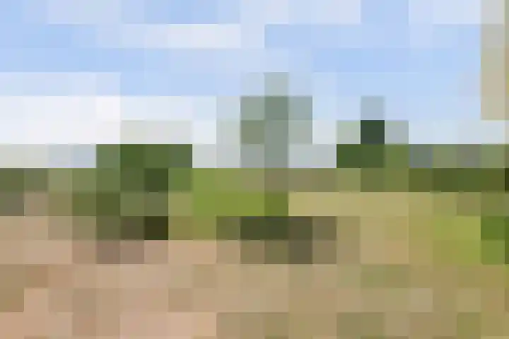 Wijkersloot 27 a Wijk bij Duurstede thumbnail 77