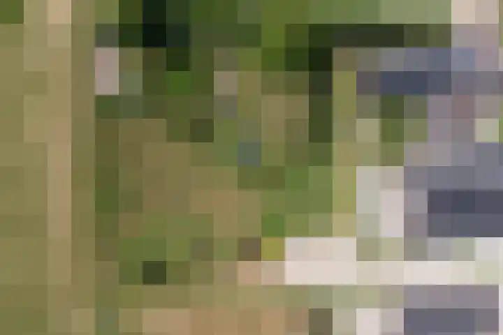Wijkersloot 27 a Wijk bij Duurstede thumbnail 78