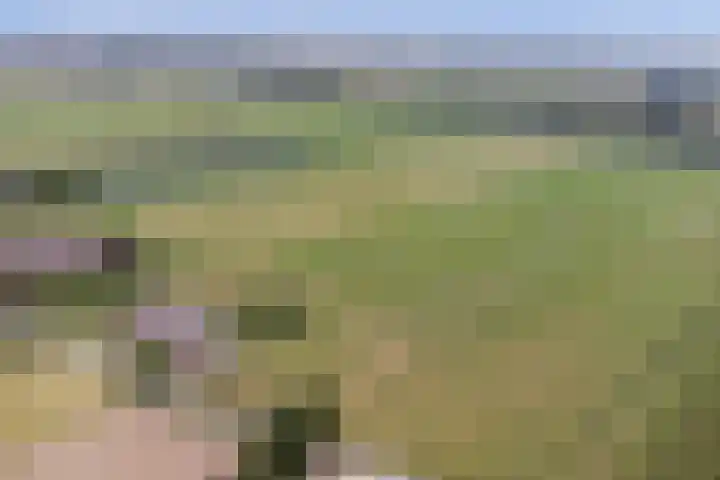 Wijkersloot 27 a Wijk bij Duurstede thumbnail 79