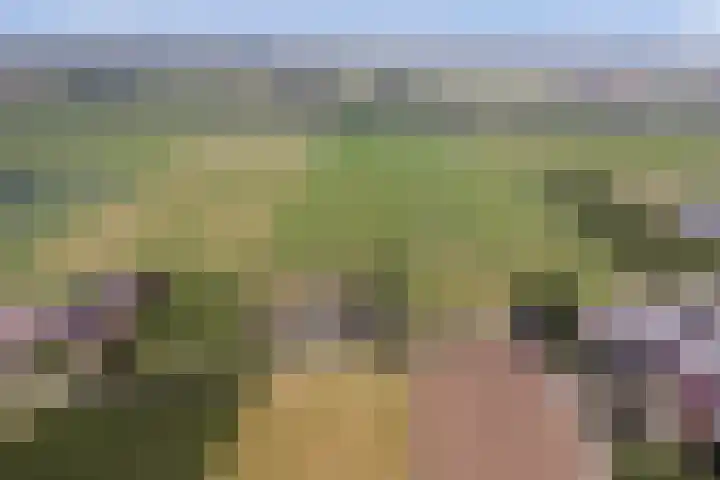 Wijkersloot 27 a Wijk bij Duurstede thumbnail 80