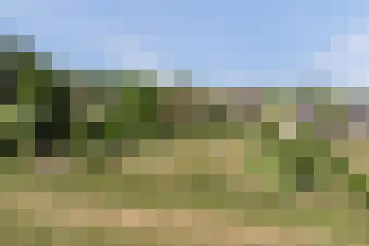 Wijkersloot 27 a Wijk bij Duurstede thumbnail 81
