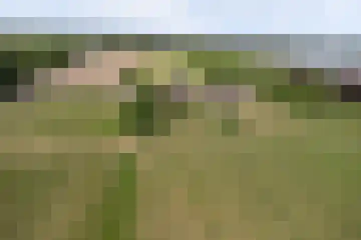 Wijkersloot 27 a Wijk bij Duurstede thumbnail 82