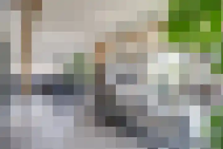 Wijkersloot 27 a Wijk bij Duurstede thumbnail 9