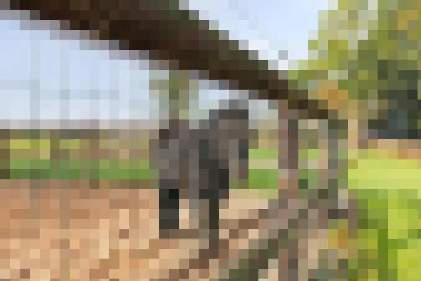 Wijkersloot 27 Wijk bij Duurstede thumbnail 4