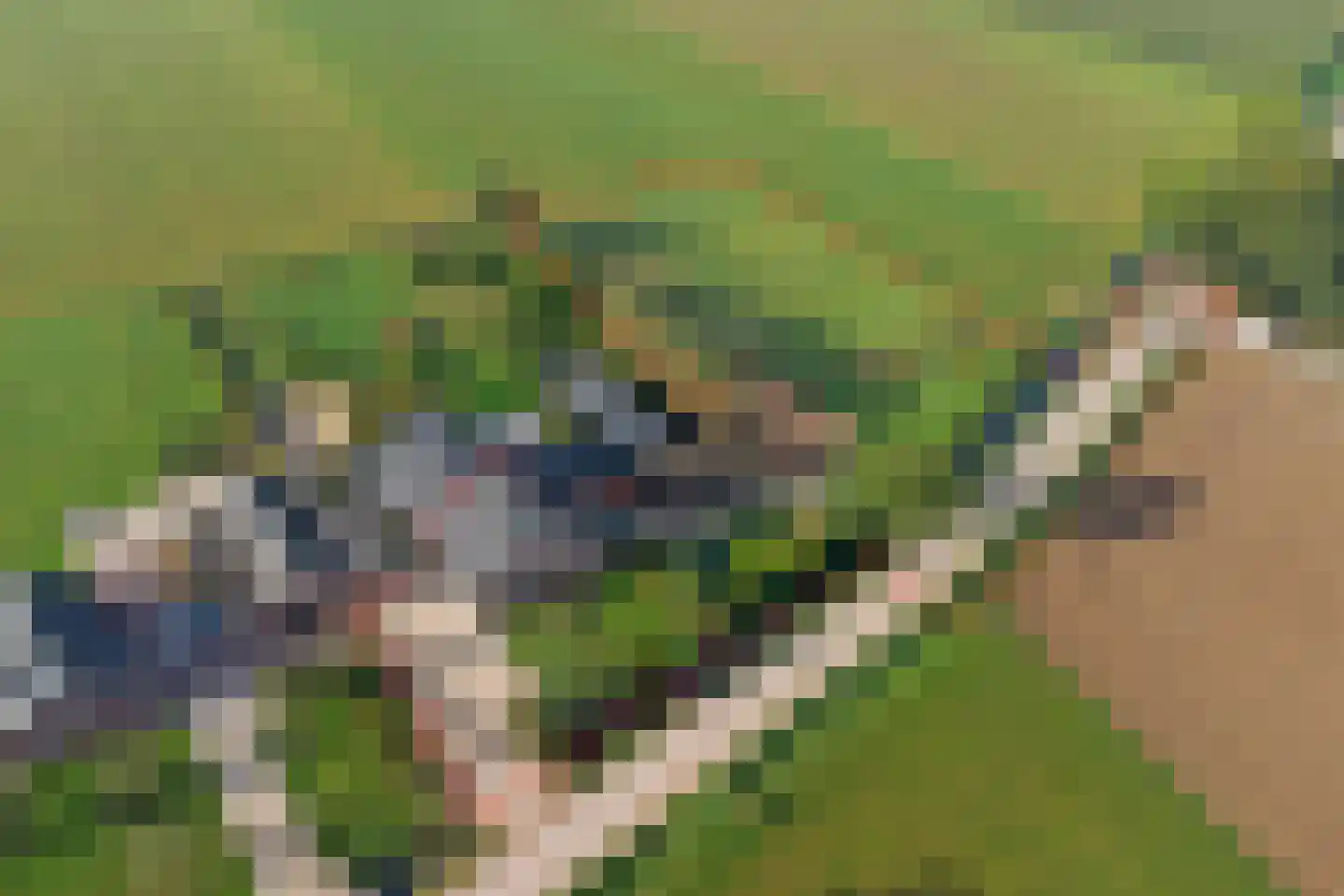 Wijkersloot 27 Wijk bij Duurstede thumbnail 5