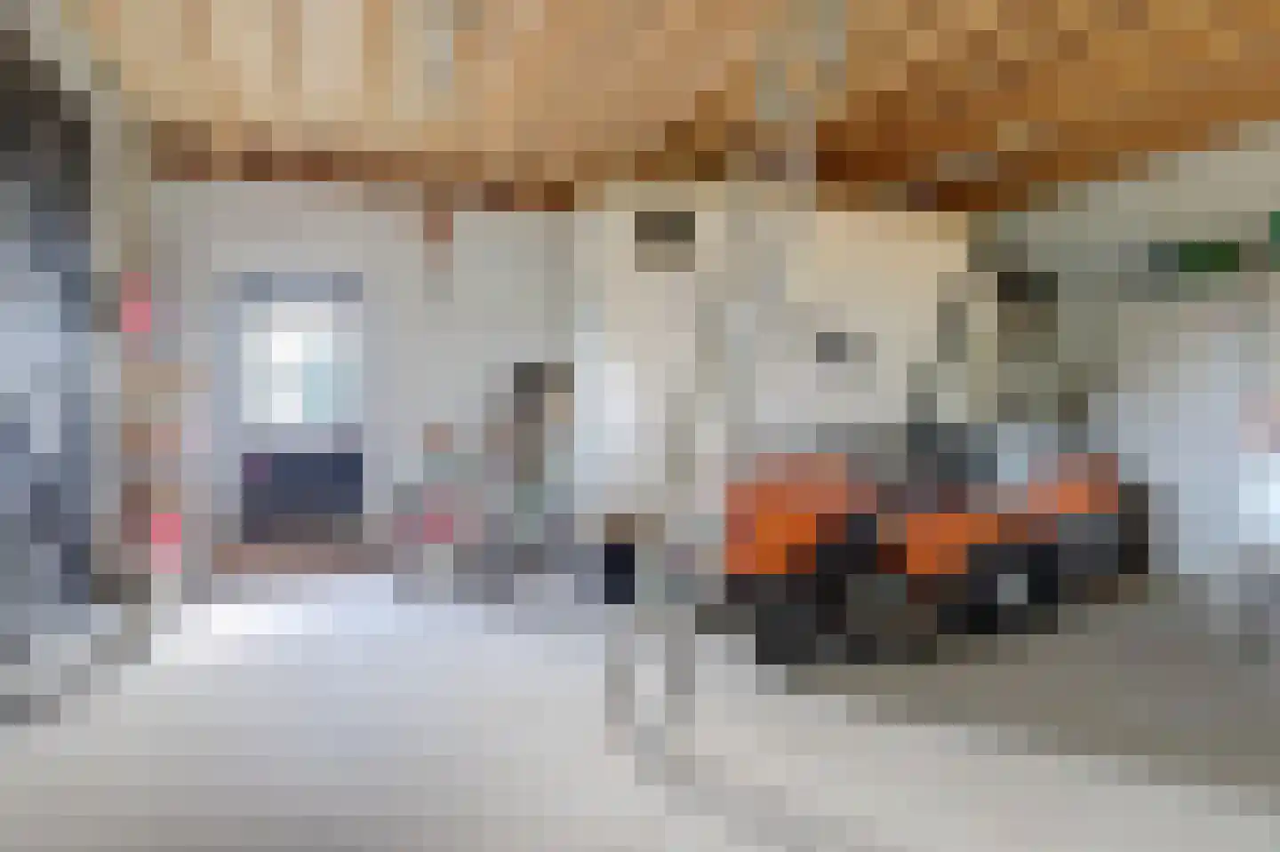 Wijkersloot 27 Wijk bij Duurstede thumbnail 55